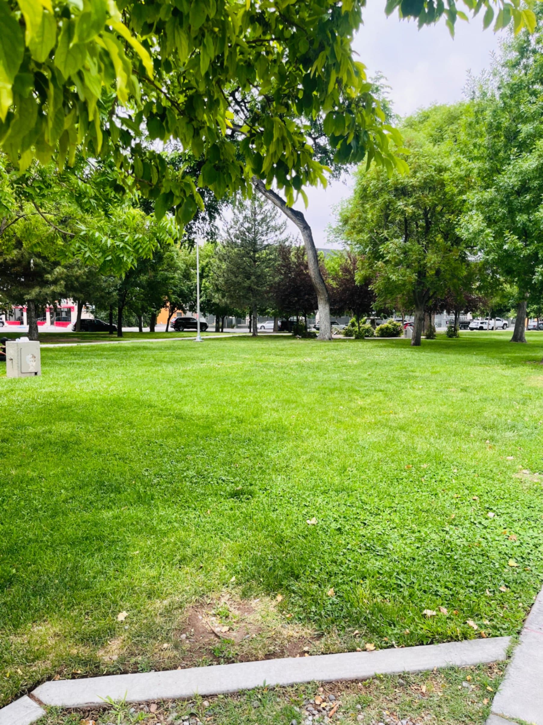 Growers Market Downtown